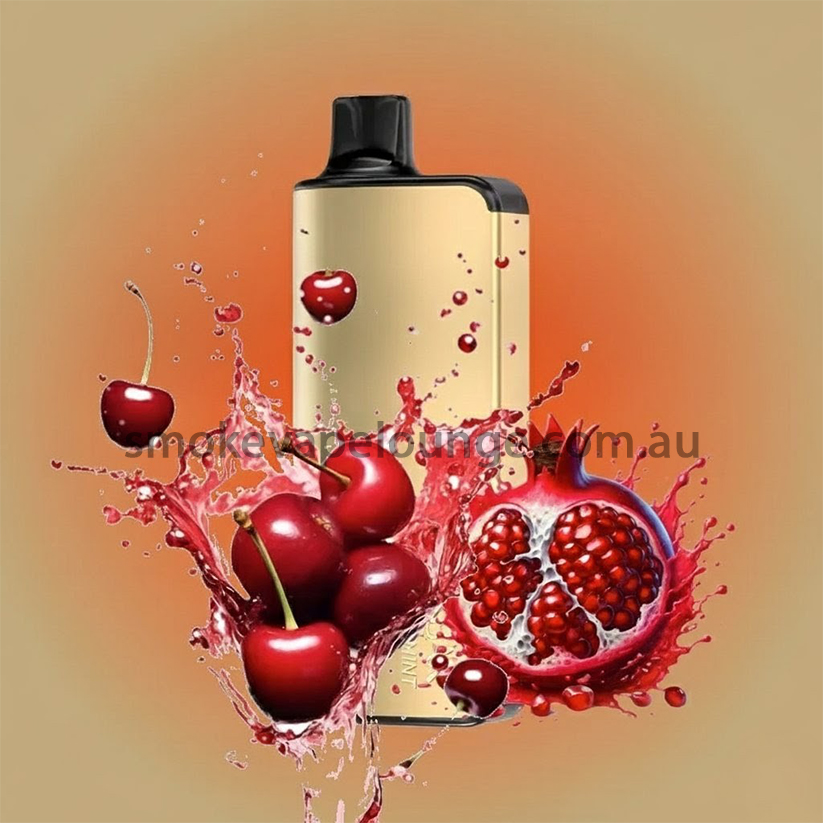 ALIBARBAR INGOT 9000 Puffs Blackberry Pomegranate Cherry